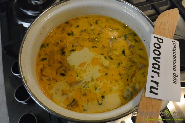 Грибной суп с шампиньонами и сливками Шаг 13 (картинка)